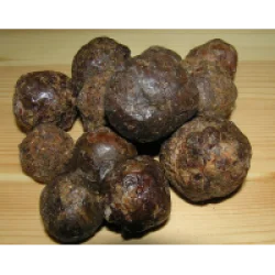 Прополис высокого качества с собственной пасеки - фото № 1