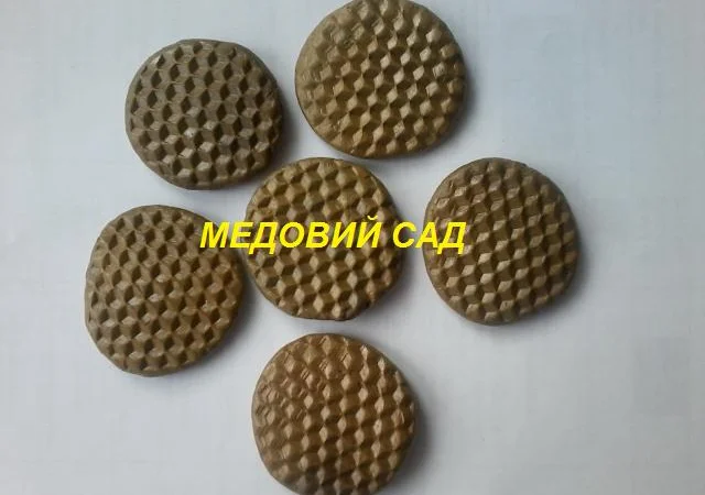 Прополіс з власної пасіки - фото № 1