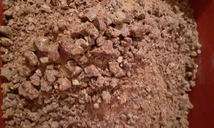 Продам натуральний бджолиний прополіс, неочищений - фото № 2