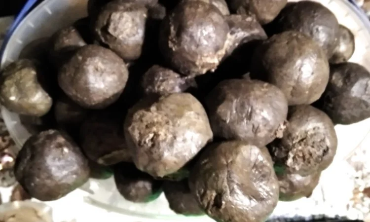 Продам бортний прополіс — натуральний продукт з Полісся - фото № 1