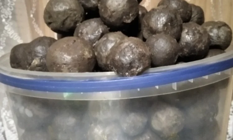 Продам бортний прополіс — натуральний продукт з Полісся - фото № 5