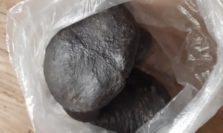 Продам свежий прополис для пчеловодов и лечебных целей - фото № 1