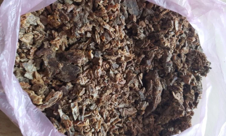 Продается натуральный прополис - фото № 1