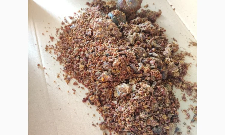 Прополіс бджолиний, натуральний (ціна за домовленістю) - фото № 2