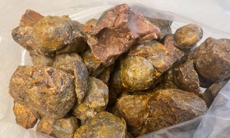 Куплю прополіс постійно — зв’язок лише через Viber - фото № 2