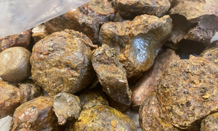 Куплю прополіс постійно — зв’язок лише через Viber - фото № 3