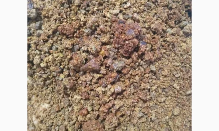 Куплю прополіс постійно — зв’язок лише через Viber - фото № 4