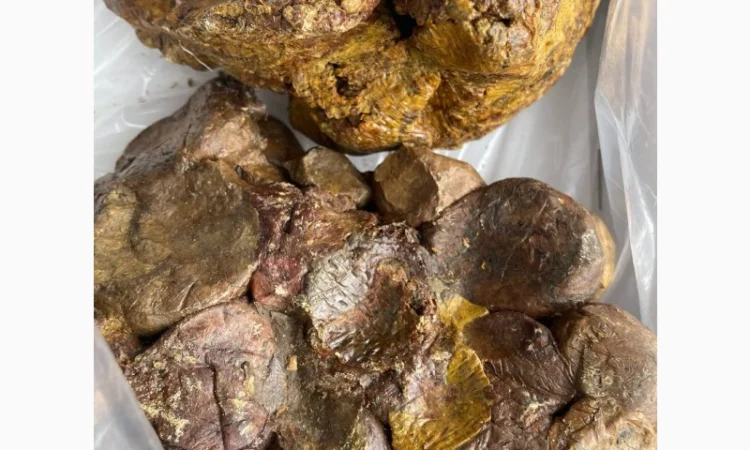 Куплю прополіс постійно — зв’язок лише через Viber - фото № 5