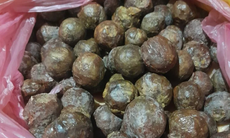 Продается чистый свежий прополис 2024 года - фото № 1