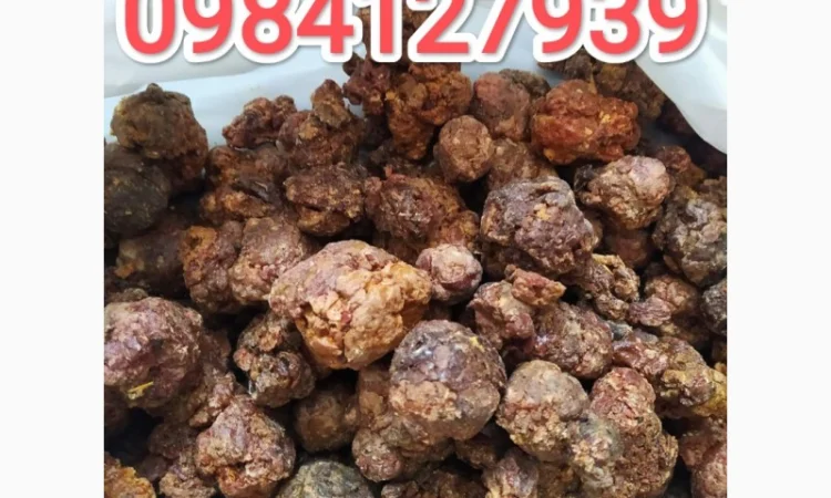 Продам натуральний прополіс з пасіки - фото № 1