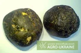 20% настойка прополиса — натуральный экстракт - фото № 2