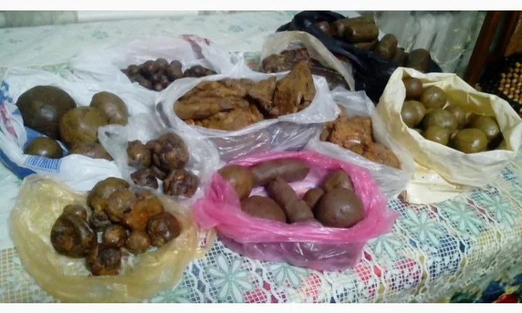 Продам прополіс оптом - фото № 1