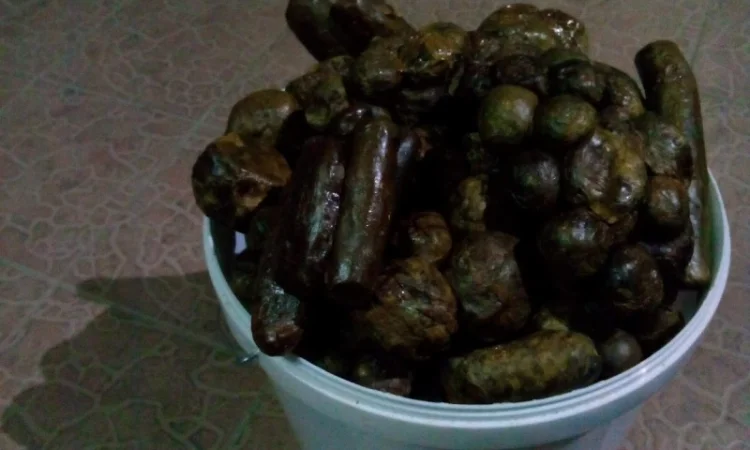 Продам прополіс оптом - фото № 2