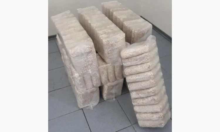 Мицелий съедобных и лечебных грибов - фото № 3