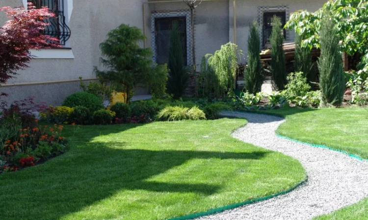 Рулонний газон Спортивний - фото № 1