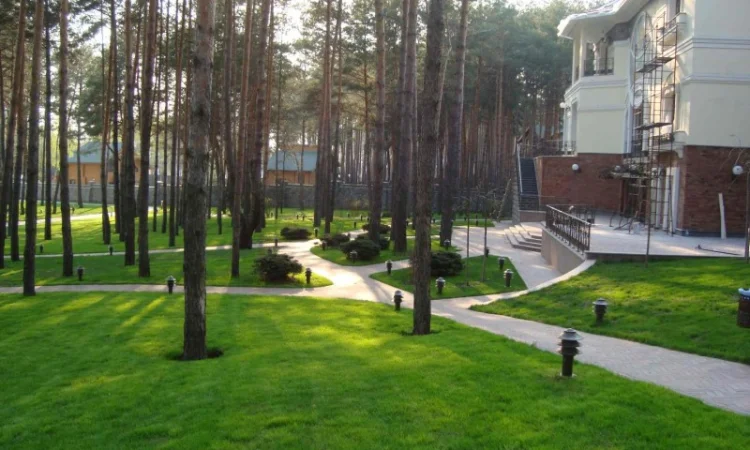 Суміші насіння газонних трав - фото № 1