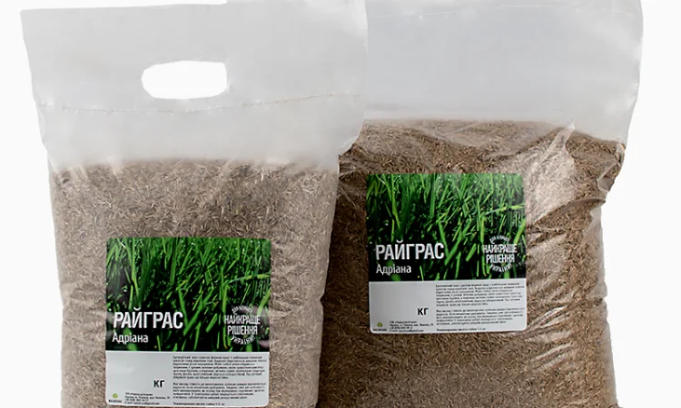 Райграс газонний сорт Адріана від 1 кг - фото № 1