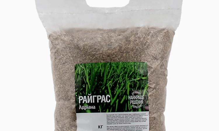 Райграс газонний сорт Адріана від 1 кг - фото № 3
