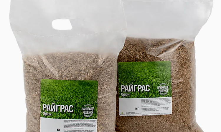 Райграс газонний сорт Оріон від 1 кг - фото № 1