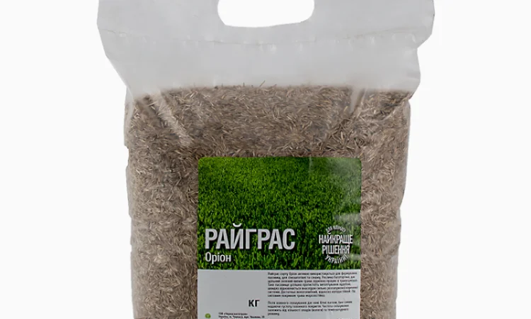 Райграс газонний сорт Оріон від 1 кг - фото № 2