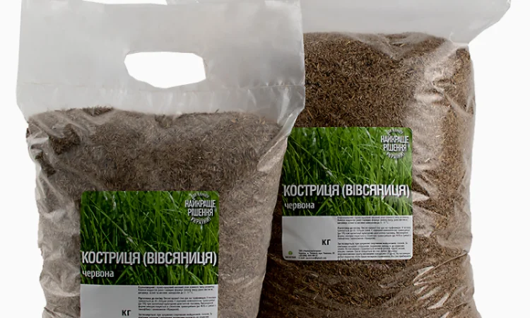 Вівсянниця (костриця) червона купити від 1кг - фото № 1