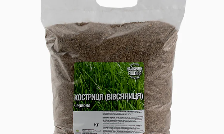 Вівсянниця (костриця) червона купити від 1кг - фото № 2