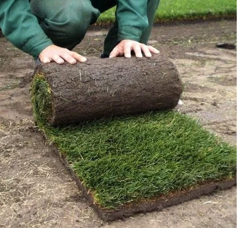 Предлагаем продажу с доставкой и разгрузкой и укладкой качественный Рулонный газон " - фото № 2