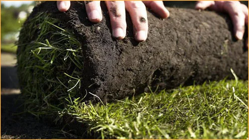 Предлагаем продажу с доставкой и разгрузкой и укладкой качественный Рулонный газон " - фото № 6