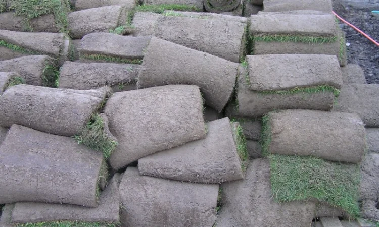 Предлагаем продажу с доставкой и разгрузкой и укладкой качественный Рулонный газон " - фото № 8