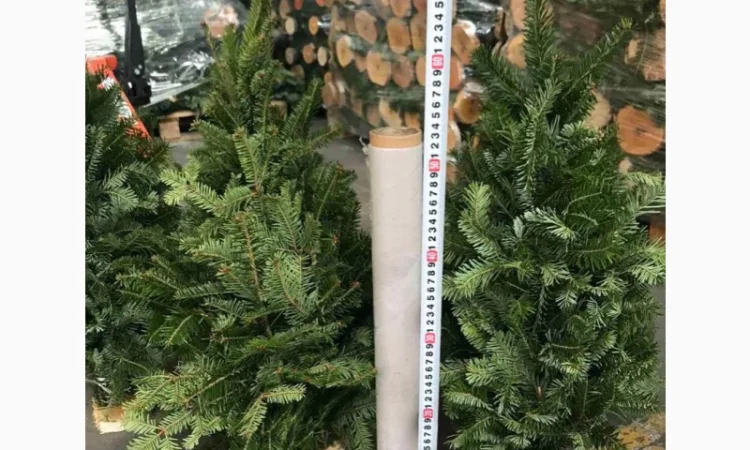Продам новогодние елки ручной работы, пихта, ель, наборная - фото № 1