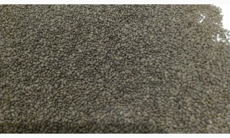 Семена люцерны Вера, Надежда - 1 репродукция (намагниченная) - фото № 1