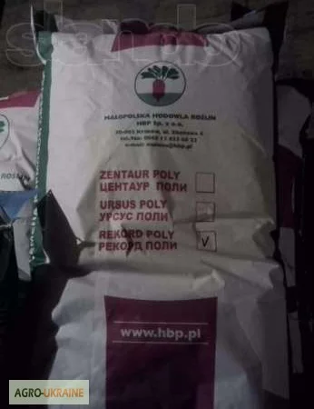 Кормовой буряк из Польши оптом - фото № 1