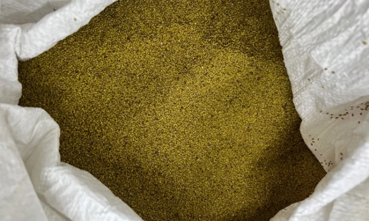 Люцерна не магнічена - фото № 2