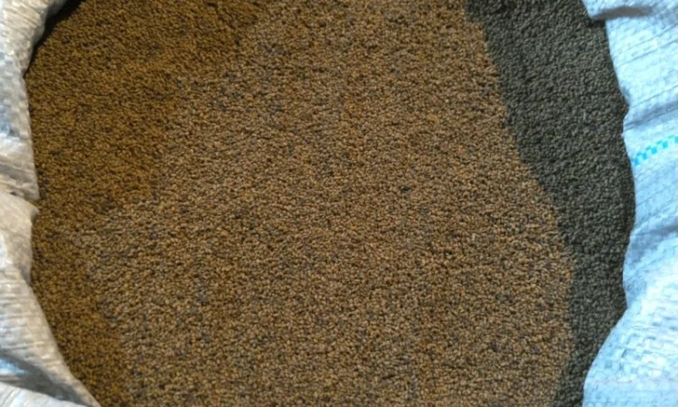 Куплю семена Люцерны всех сортов - фото № 1