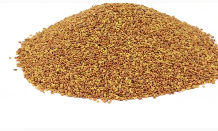 Продается семена Люцерны и Конюшины - фото № 1