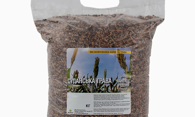 Суданська трава продам від 1кг - фото № 2