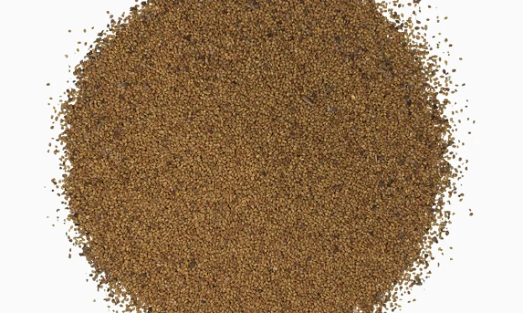 Продам буркун - фото № 5