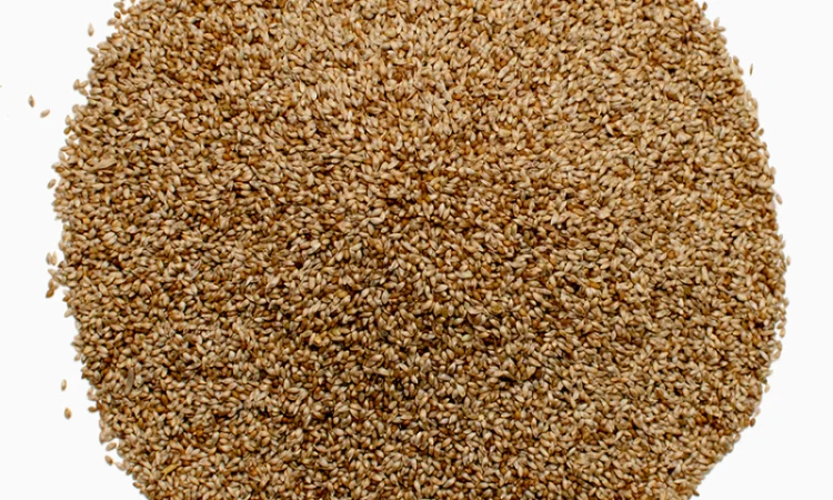 Тимофіївка 1кг продам - фото № 6