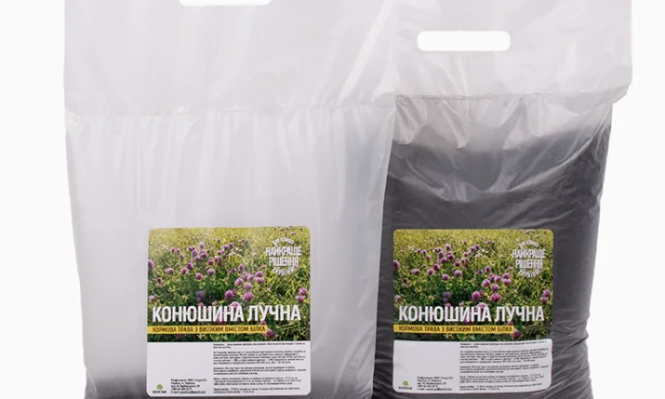 Конюшина лучна - фото № 1