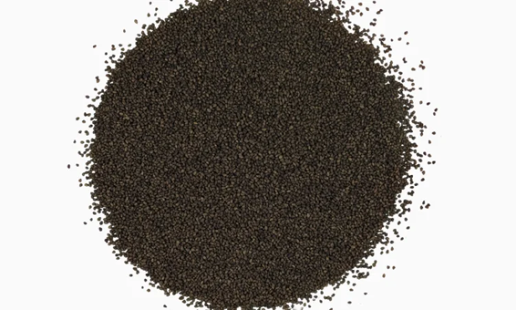 Конюшина лучна - фото № 2