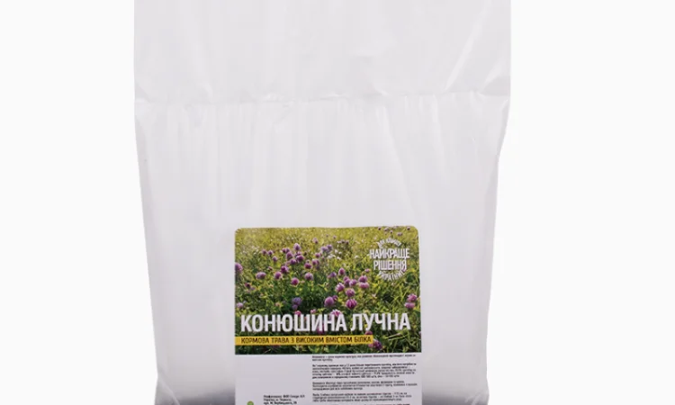 Конюшина лучна - фото № 3