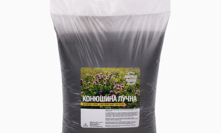 Конюшина лучна - фото № 4