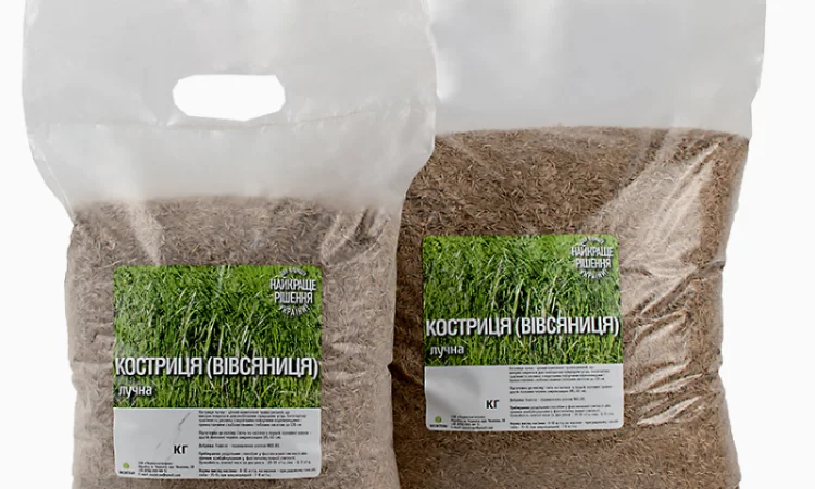 Вівсянниця (костриця) лучна продам від 1кг - фото № 1