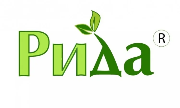 Насіння конюшини (клевера) - фото № 2