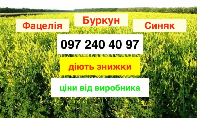 Продам Буркун по найнижчій ціні від виробника 60 грн/кг (опт) - фото № 1