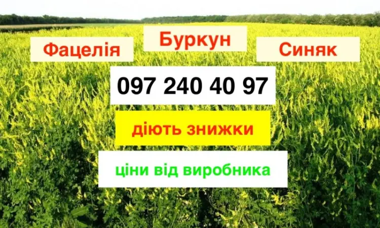 Продам Буркун по самой низкой цене от производителя 60 грн/кг (опт) - фото № 1