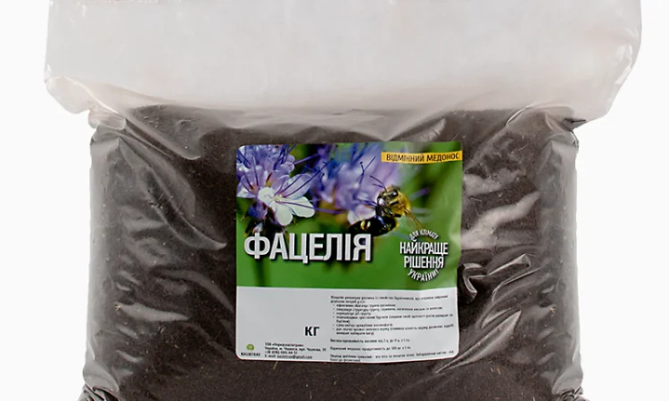 Насіння фацелії продам роздріб від 1кг - фото № 2