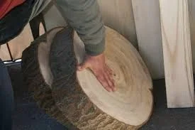 Павловнія. Павловния. Зробимо планету зеленішою - фото № 3