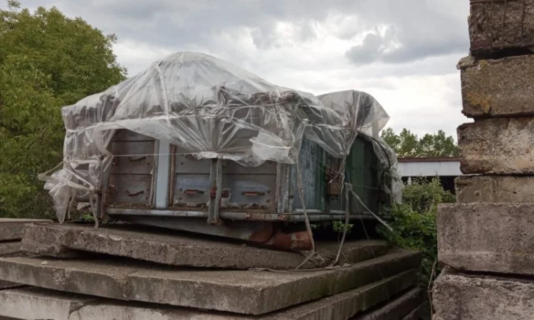 Семеновейка - фото № 5