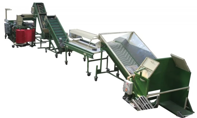 Линия сортировки, фасовки, упаковки картофеля, овощей, моркови, лука, свеклы, фруктов - фото № 3